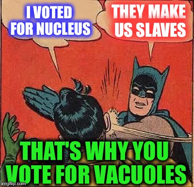 Batman Slapping Robin Meme | I VOTED FOR NUCLEUS; THEY MAKE US SLAVES; THAT'S WHY YOU VOTE FOR VACUOLES | image tagged in memes,batman slapping robin | made w/ Imgflip meme maker