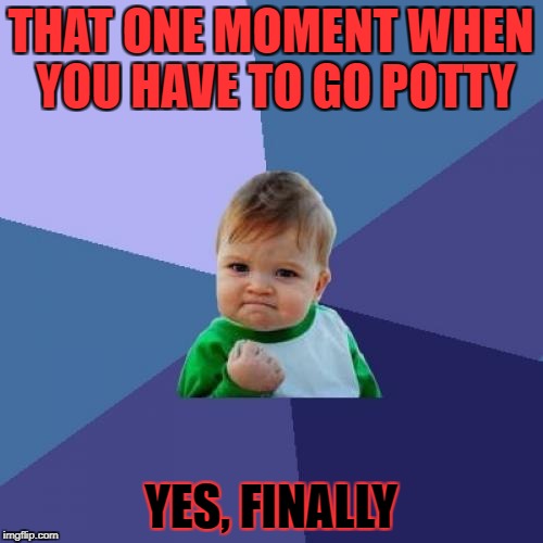 Success Kid Meme | THAT ONE MOMENT WHEN YOU HAVE TO GO POTTY; YES, FINALLY | image tagged in memes,success kid | made w/ Imgflip meme maker