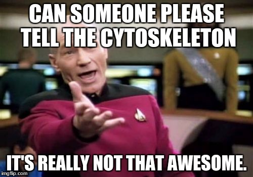 Picard Wtf | CAN SOMEONE PLEASE TELL THE CYTOSKELETON; IT'S REALLY NOT THAT AWESOME. | image tagged in memes,picard wtf | made w/ Imgflip meme maker
