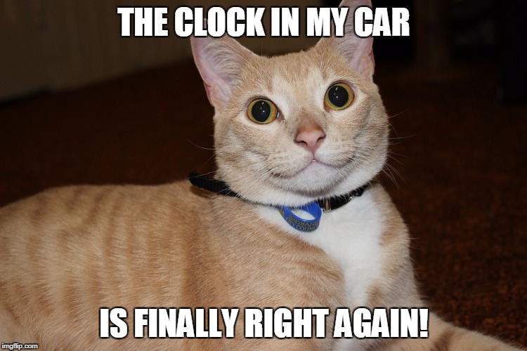 THE CLOCK IN MY CAR; IS FINALLY RIGHT AGAIN! | image tagged in cats,daylight savings time | made w/ Imgflip meme maker