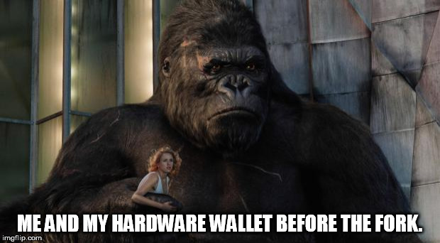 + King Kong chest pound | ME AND MY HARDWARE WALLET BEFORE THE FORK. | image tagged in king kong,bitcoin,crypto,hodl,trading,gains | made w/ Imgflip meme maker