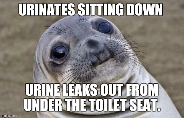 Please don't judge. He was probably too tired or too drunk to go standing up.  | URINATES SITTING DOWN; URINE LEAKS OUT FROM UNDER THE TOILET SEAT. | image tagged in memes,awkward moment sealion,bathroom,toilet,fml | made w/ Imgflip meme maker