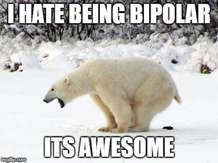 Polar Bear Shits in the Snow | I HATE BEING BIPOLAR; ITS AWESOME | image tagged in polar bear shits in the snow | made w/ Imgflip meme maker