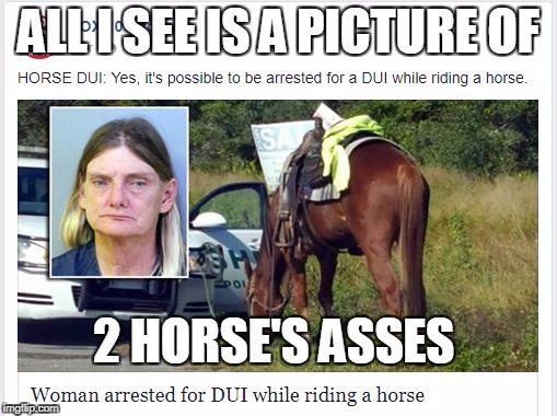 horse's ass | ALL I SEE IS A PICTURE OF; 2 HORSE'S ASSES | image tagged in drunk driving,funny | made w/ Imgflip meme maker