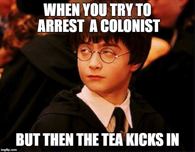WHEN YOU TRY TO ARREST  A COLONIST; BUT THEN THE TEA KICKS IN | image tagged in harry potter | made w/ Imgflip meme maker
