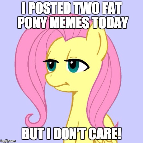 I just don't anymore! I make whatever the f**k I want to make! | I POSTED TWO FAT PONY MEMES TODAY; BUT I DON'T CARE! | image tagged in tired of your crap,memes,my little pony,fluttershy | made w/ Imgflip meme maker