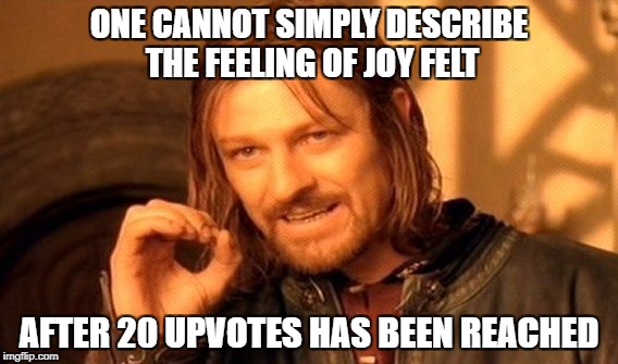 ONE CANNOT SIMPLY DESCRIBE THE FEELING OF JOY FELT AFTER 20 UPVOTES HAS BEEN REACHED | image tagged in memes,one does not simply | made w/ Imgflip meme maker