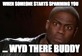 Kevin Hart | WHEN SOMEONE STARTS SPAMMING YOU; ... WYD THERE BUDDY | image tagged in memes,kevin hart the hell | made w/ Imgflip meme maker