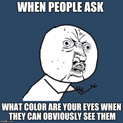 Y U No | WHEN PEOPLE ASK; WHAT COLOR ARE YOUR EYES WHEN THEY CAN OBVIOUSLY SEE THEM | image tagged in memes,y u no | made w/ Imgflip meme maker