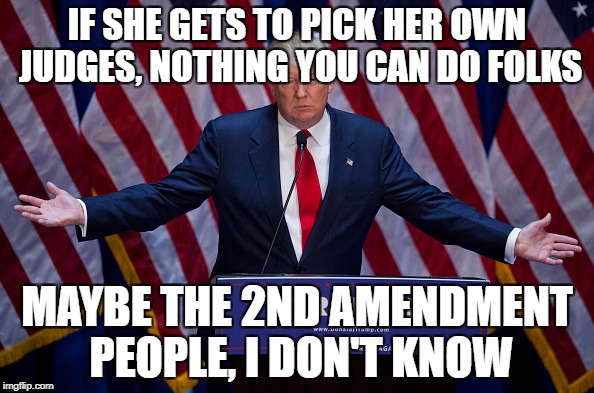 Trump Bruh | IF SHE GETS TO PICK HER OWN JUDGES, NOTHING YOU CAN DO FOLKS; MAYBE THE 2ND AMENDMENT PEOPLE, I DON'T KNOW | image tagged in trump bruh | made w/ Imgflip meme maker
