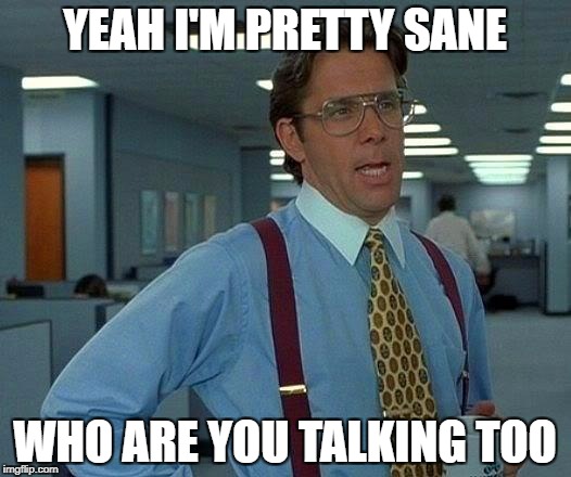 That Would Be Great | YEAH I'M PRETTY SANE; WHO ARE YOU TALKING TOO | image tagged in memes,that would be great | made w/ Imgflip meme maker