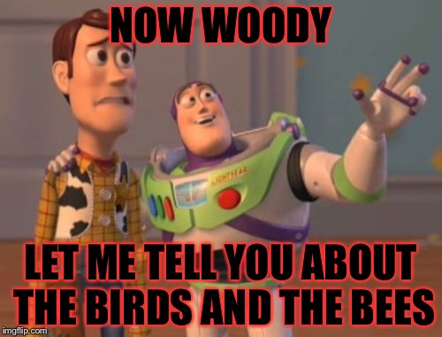 Poor woody | NOW WOODY; LET ME TELL YOU ABOUT THE BIRDS AND THE BEES | image tagged in memes,upvotes,x x everywhere | made w/ Imgflip meme maker