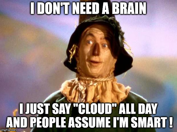 Brains! | I DON'T NEED A BRAIN; I JUST SAY "CLOUD" ALL DAY AND PEOPLE ASSUME I'M SMART ! | image tagged in brains | made w/ Imgflip meme maker