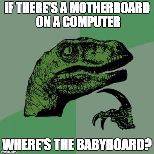 Philosoraptor | IF THERE'S A MOTHERBOARD ON A COMPUTER; WHERE'S THE BABYBOARD? | image tagged in memes,philosoraptor | made w/ Imgflip meme maker