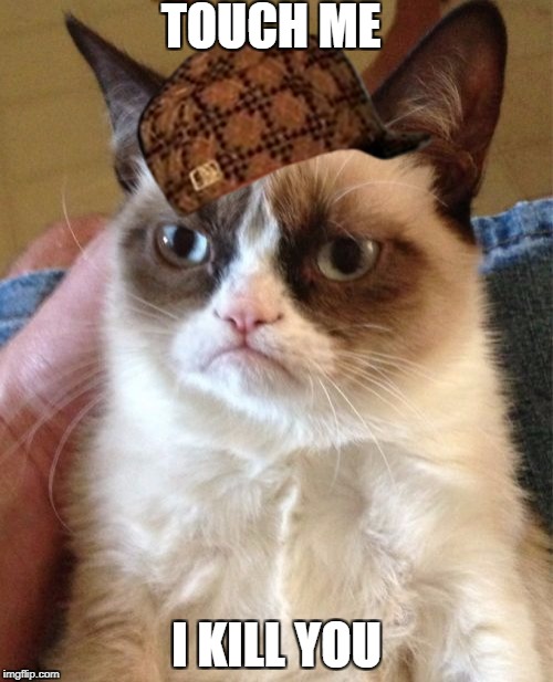 Grumpy Cat | TOUCH ME; I KILL YOU | image tagged in memes,grumpy cat,scumbag | made w/ Imgflip meme maker