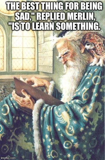 THE BEST THING FOR BEING SAD," REPLIED MERLIN, "IS TO LEARN SOMETHING. | made w/ Imgflip meme maker