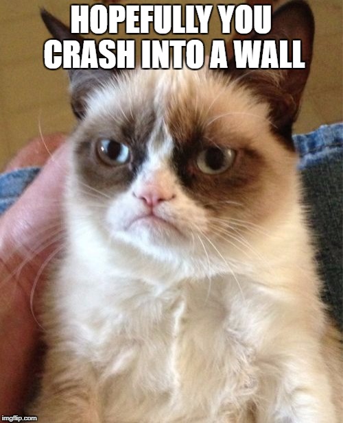 Grumpy Cat Meme | HOPEFULLY YOU CRASH INTO A WALL | image tagged in memes,grumpy cat | made w/ Imgflip meme maker