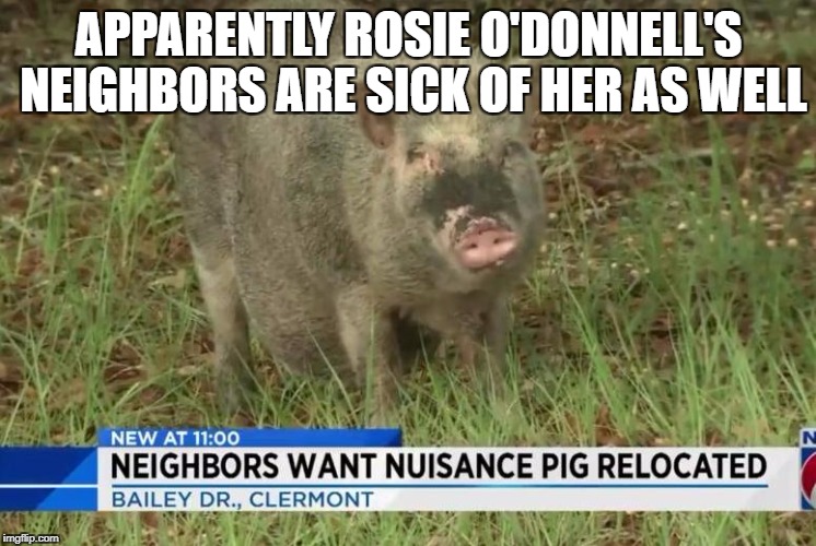 APPARENTLY ROSIE O'DONNELL'S NEIGHBORS ARE SICK OF HER AS WELL | image tagged in rosie o'donnell,libtard,stupid liberals,scumbag hollywood | made w/ Imgflip meme maker