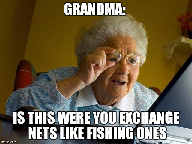 Grandma Finds The Internet | GRANDMA:; IS THIS WERE YOU EXCHANGE NETS LIKE FISHING ONES | image tagged in memes,grandma finds the internet | made w/ Imgflip meme maker