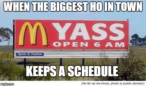 I'm loving it! | WHEN THE BIGGEST HO IN TOWN; KEEPS A SCHEDULE | image tagged in mcdonalds | made w/ Imgflip meme maker