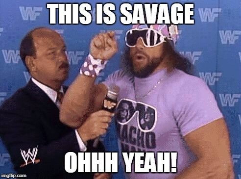 savage level | THIS IS SAVAGE OHHH YEAH! | image tagged in savage level | made w/ Imgflip meme maker