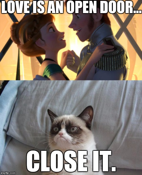 grumpy cat quotes frozen love is an open door