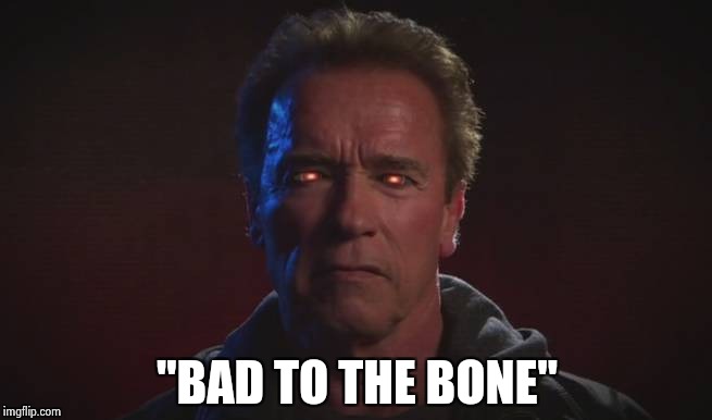 "BAD TO THE BONE" | image tagged in terminator fire eyes | made w/ Imgflip meme maker