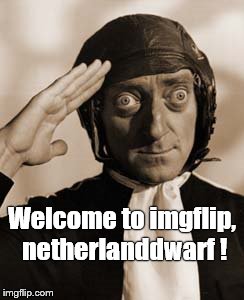 Marty Feldman copy that! | Welcome to imgflip, netherlanddwarf ! | image tagged in copy that | made w/ Imgflip meme maker