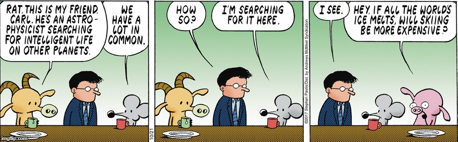 I can relate, God help this poor mouse | image tagged in stupid,stupid people,special kind of stupid | made w/ Imgflip meme maker