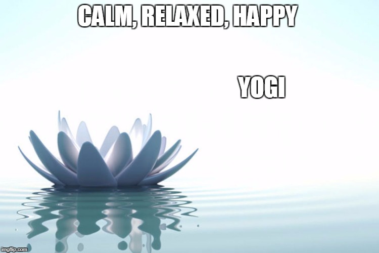 Kundalini Yoga | CALM, RELAXED, HAPPY; YOGI | image tagged in kundalini yoga | made w/ Imgflip meme maker