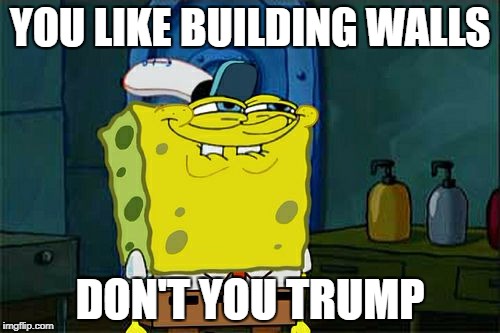 Don't You Squidward Meme | YOU LIKE BUILDING WALLS; DON'T YOU TRUMP | image tagged in memes,dont you squidward | made w/ Imgflip meme maker