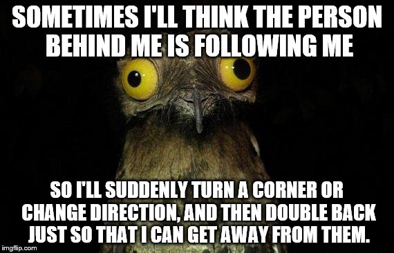 Weird Stuff I Do Potoo Meme | SOMETIMES I'LL THINK THE PERSON BEHIND ME IS FOLLOWING ME; SO I'LL SUDDENLY TURN A CORNER OR CHANGE DIRECTION, AND THEN DOUBLE BACK JUST SO THAT I CAN GET AWAY FROM THEM. | image tagged in memes,weird stuff i do potoo | made w/ Imgflip meme maker