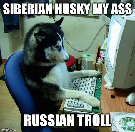 I Have No Idea What I Am Doing | SIBERIAN HUSKY MY ASS; RUSSIAN TROLL | image tagged in memes,i have no idea what i am doing | made w/ Imgflip meme maker