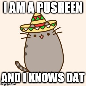 Taco Pusheen (cause why not?) | I AM A PUSHEEN; AND I KNOWS DAT | image tagged in taco pusheen cause why not | made w/ Imgflip meme maker