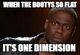 Kevin Hart | WHEN THE BOOTYS SO FLAT; IT'S ONE DIMENSION | image tagged in memes,kevin hart the hell | made w/ Imgflip meme maker