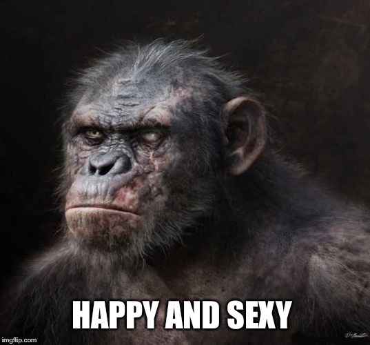 HAPPY AND SEXY | made w/ Imgflip meme maker