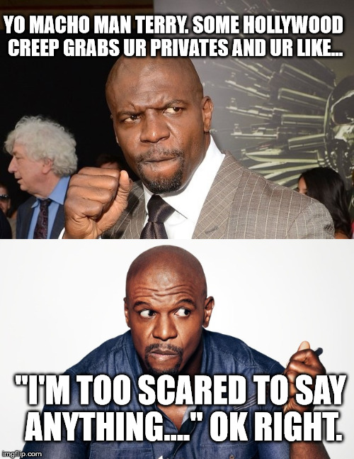 YO MACHO MAN TERRY. SOME HOLLYWOOD CREEP GRABS UR PRIVATES AND UR LIKE... "I'M TOO SCARED TO SAY ANYTHING...." OK RIGHT. | image tagged in terry crews hollywood | made w/ Imgflip meme maker