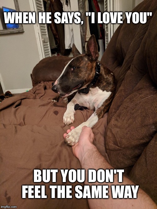 WHEN HE SAYS, "I LOVE YOU"; BUT YOU DON'T FEEL THE SAME WAY | image tagged in i love you,dog memes | made w/ Imgflip meme maker