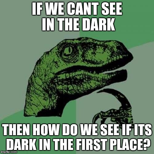 Philosoraptor | IF WE CANT SEE IN THE DARK; THEN HOW DO WE SEE IF ITS DARK IN THE FIRST PLACE? | image tagged in memes,philosoraptor | made w/ Imgflip meme maker