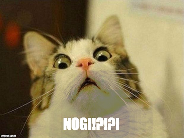 Scared Cat | NOGI!?!?! | image tagged in memes,scared cat | made w/ Imgflip meme maker