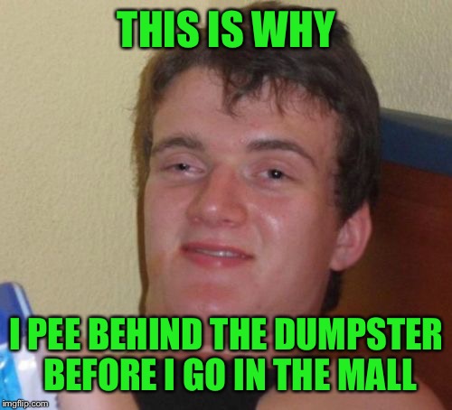 10 Guy Meme | THIS IS WHY I PEE BEHIND THE DUMPSTER BEFORE I GO IN THE MALL | image tagged in memes,10 guy | made w/ Imgflip meme maker