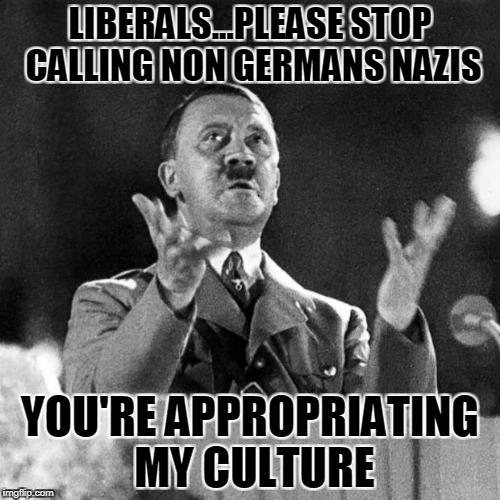 CFK Hitler | LIBERALS...PLEASE STOP CALLING NON GERMANS NAZIS; YOU'RE APPROPRIATING MY CULTURE | image tagged in cfk hitler | made w/ Imgflip meme maker