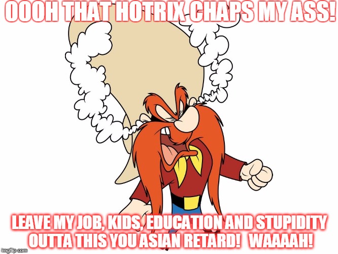 yosemite sam | OOOH THAT HOTRIX CHAPS MY ASS! LEAVE MY JOB, KIDS, EDUCATION AND STUPIDITY OUTTA THIS YOU ASIAN RETARD!   WAAAAH! | image tagged in yosemite sam | made w/ Imgflip meme maker