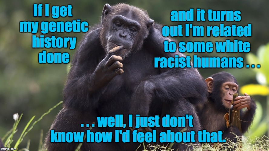 Try to see things from the other critter's point of view. | and it turns out I'm related to some white racist humans . . . If I get my genetic history done; . . . well, I just don't know how I'd feel about that. | image tagged in female chimp thinking,racism,memes | made w/ Imgflip meme maker