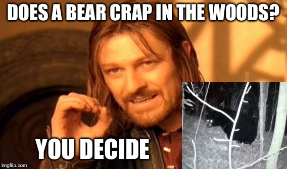 One Does Not Simply Meme | DOES A BEAR CRAP IN THE WOODS? YOU DECIDE | image tagged in memes,one does not simply | made w/ Imgflip meme maker