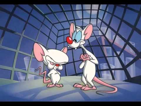 High Quality pinky and the brain Blank Meme Template