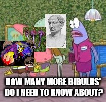 TOO MUCH BIBULUS | HOW MANY MORE BIBULUS' DO I NEED TO KNOW ABOUT? | image tagged in squidward,bibulus | made w/ Imgflip meme maker