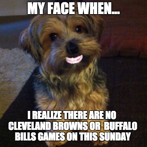Bills and Browns Free Sunday | MY FACE WHEN... I REALIZE THERE ARE NO CLEVELAND BROWNS OR  BUFFALO BILLS GAMES ON THIS SUNDAY | image tagged in buffalo bills,cleveland browns,cleveland,buffalo,nfl,nfl memes | made w/ Imgflip meme maker