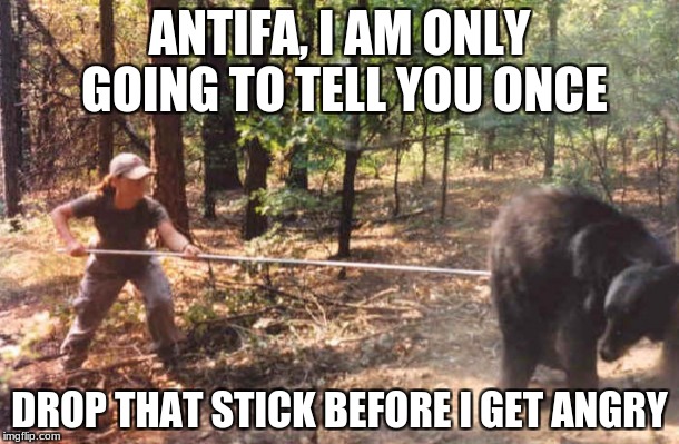 Poking the bear | ANTIFA, I AM ONLY GOING TO TELL YOU ONCE; DROP THAT STICK BEFORE I GET ANGRY | image tagged in poking the bear | made w/ Imgflip meme maker