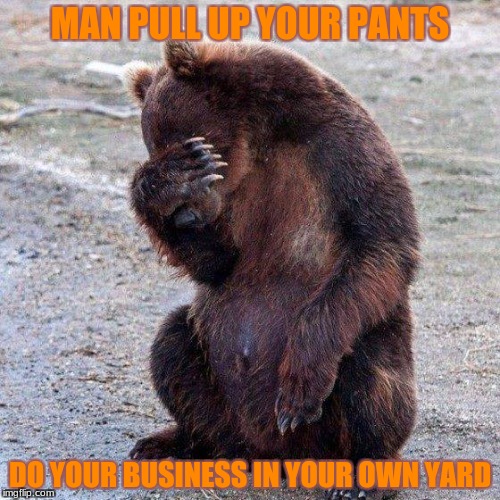poop joke | MAN PULL UP YOUR PANTS; DO YOUR BUSINESS IN YOUR OWN YARD | image tagged in poor animals,memes | made w/ Imgflip meme maker